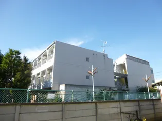 神奈川県伊勢原市伊勢原1【アパート】の外観