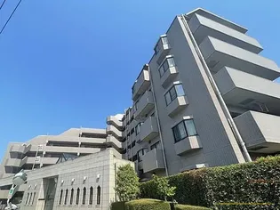 埼玉県川越市大字並木【マンション】の外観