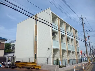 クリサンスの画像