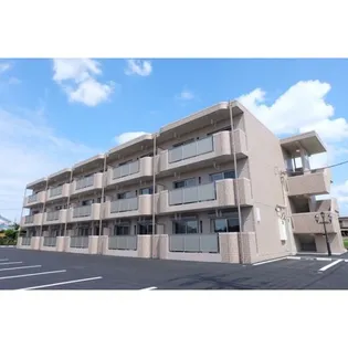 Y&M GIOIA NOGIの画像