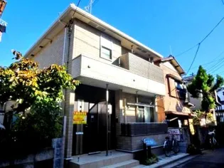 プラシード サニーの画像