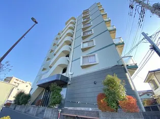 ドルチェ オオギの画像