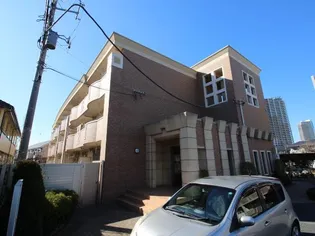 ルピナスの画像