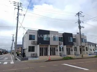 モデルノ プラシードの画像