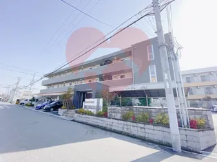 シャバーニの画像