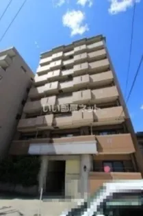 ファレノプシスの画像