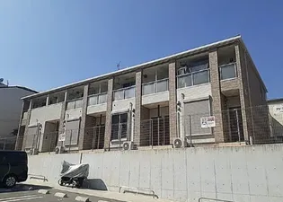 アドニスCの画像