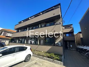 カーサスミレの画像