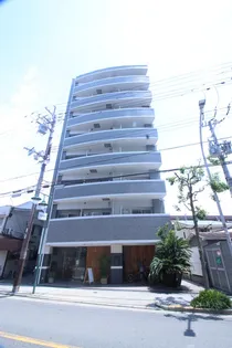 ドリームズ カム トゥルーの画像