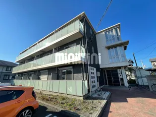 マンダリーノの画像