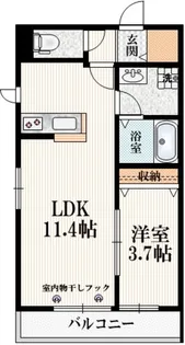 Maison Lumiere【1階】の間取り