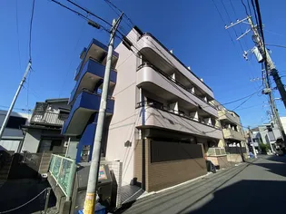 キャッスルアメジストII【4階】の外観