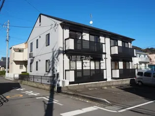 パルス アイIIの画像