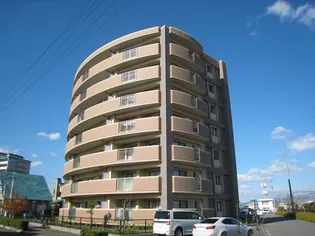 クレッシェンド美宇の画像