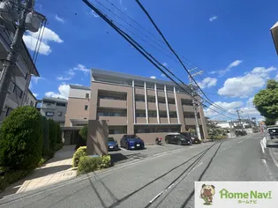 ステラコートの画像