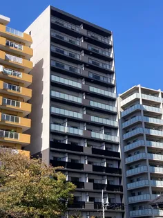 CRONUS MAREの画像