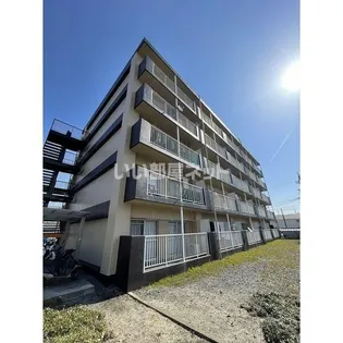 ドエルウィステリアの画像