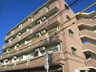 クラシオンルガール イシカワII【5階】の外観