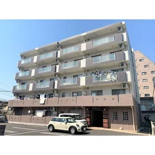 アンダンテの画像