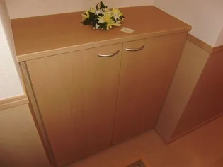 ドリームヒルズB【2階】の玄関