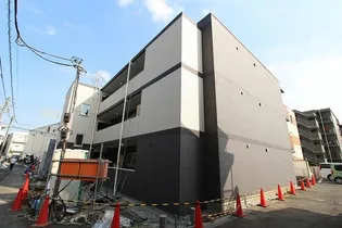 シーサンゴの画像