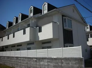 シェルシュBの画像