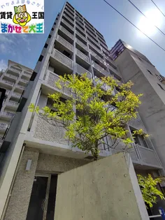 GREENVALLEY KANAYAグリーンバレー金屋の画像