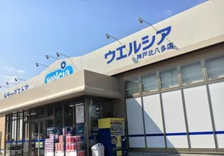 ルーチェセッテの周辺