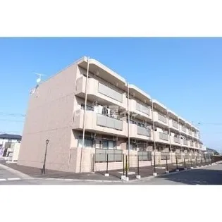 Y&Mソレイユの画像