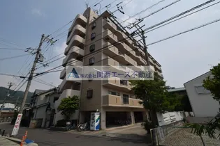 レクシア野崎の画像