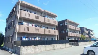 ピュアタウンII【1階】の外観