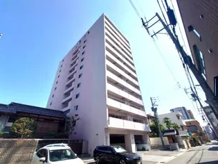 フォレスト Nの画像