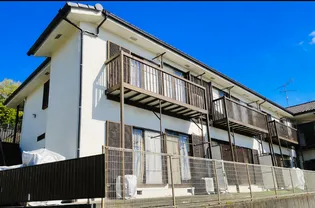 サンフラワーの画像