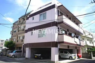 井上ハイムの画像