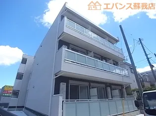 リブリ サンフラワー14の画像