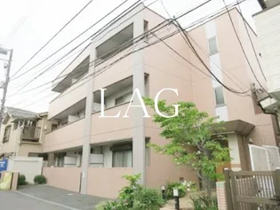 サン ルピナスの画像