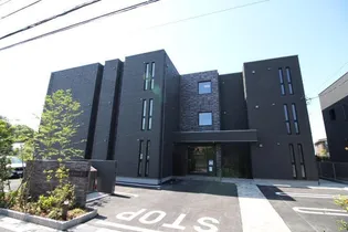 ステラ アストーレTの画像