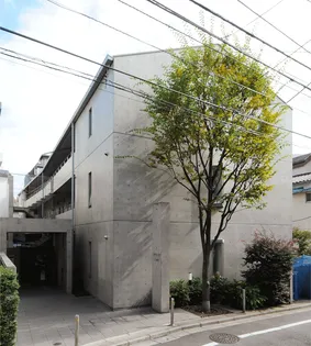 イーストラハツダイの画像