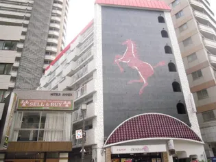 ドムスアルバの画像