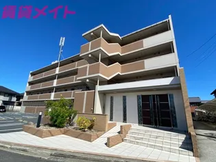 GRACEFULの画像