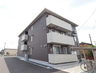 MARIGOLDの画像