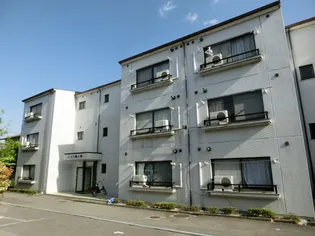 メゾン蟻ケ崎【2階】の外観