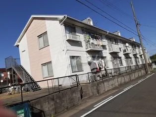 エントピアMの画像