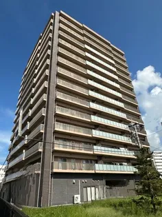 アンピール大村ステーションツリーの画像