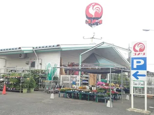 メゾンドール金山【1階】の周辺