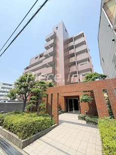 エスメラード ヒコの画像