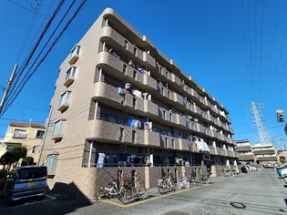 メゾンロワイヤルの画像