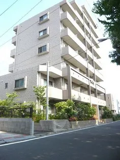 グッド フラットIIIの画像