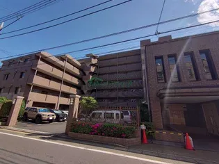 ステラコートの画像