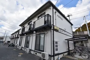 ルピナス21Bの画像